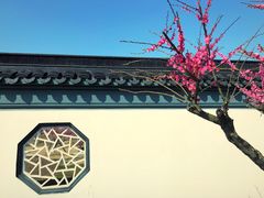 -灌云梅园景区