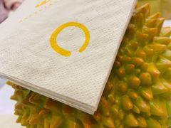 -绮妙冰淇淋Gelato Miao(朝阳大悦城店)