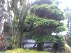 -厦门泰地万豪酒店-贡厨全日餐厅