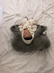 点击看大图 -布恩儿童摄影