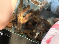 老油条-芳婆糕团店(王府大街店)