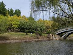-莫子山公园