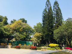 -人民公园(罗湖区)