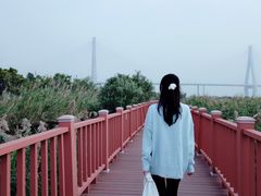 -芒洲湿地公园