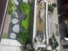 -龙抄手(文殊坊店)