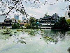 -荔湾湖公园