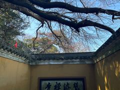 -普陀山慧济禅寺