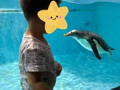 -大连圣亚海洋世界