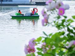 -石家庄市植物园