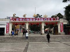 -昆明动物园