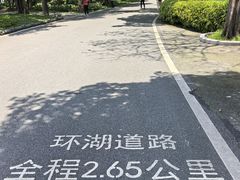 -海珠湖公园