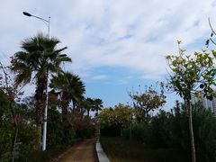 -北海金海湾红树林生态旅游区