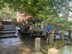 -成都市活水公园
