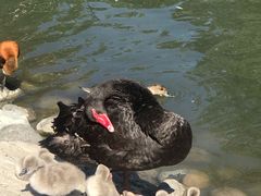 -新疆天山野生动物园