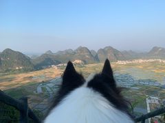 -会仙湿地