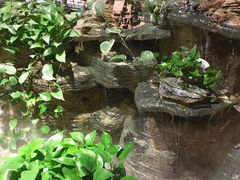 -庄隐阁(悠方广场店)