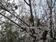 -艾溪湖湿地公园