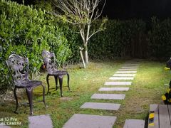 -崇明东平国家森林公园烧烤房车露营地