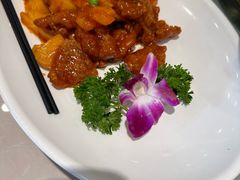 -刘胖子家常菜·蹄花焖藕(中南店)