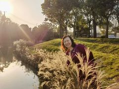 -贡湖湾湿地公园
