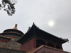 -磬锤峰森林公园