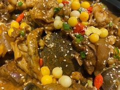 甲鱼牛蛙锅-洪湘记川湘·甲鱼馆(四海凯悦美食广场店)
