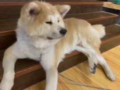 -YCHL Studios健身工作室(市二宫店)