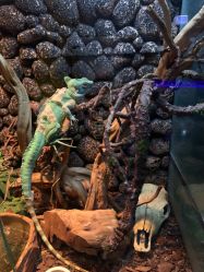 -未来动物城动物主题公园(大悦城店)