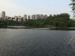 -重庆彩云湖湿地公园