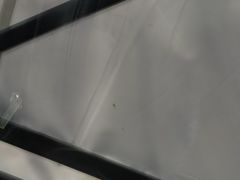 -福耀汽车玻璃(浦东店)