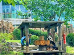 -大连森林动物园