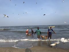 -尼甘布海鲜市场