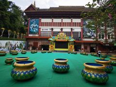 -西双版纳原始森林公园
