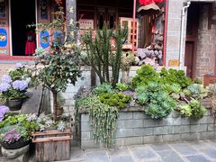 -寂照庵