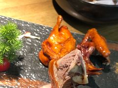 红烧鸽-大鸽饭(岗顶店)