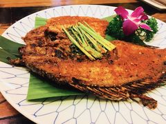 -紫滇源云南生态菜(丹凤街店)