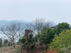 -天目湖涵田半山温泉