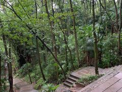 -凤栖山