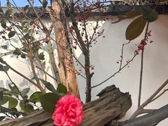 -乐领拈花溪·林涧食韵