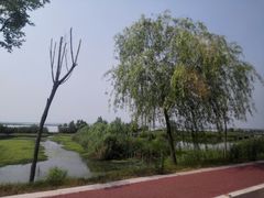 -焦岗湖影视城