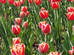 -长春公园(普阳街道)