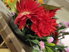 -陶然居·重庆菜(鱼洞老街店)