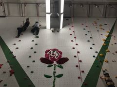 -绿壁虎攀岩基地(Tcar店)