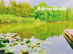 -上海山野camping·户外天幕烧烤·团建拓展营地