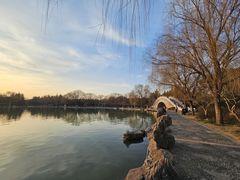 -洛阳市隋唐城遗址植物园