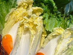 -采椰郎椰子鸡·脆皮鸡火锅(融创茂店)