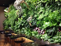 -Seesaw Coffee(环贸iapm店)