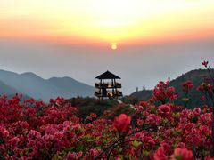 -大围山国家森林公园