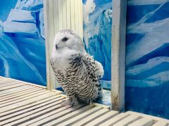 -成都浩海立方海洋公园