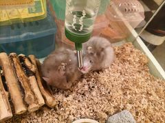 -龙猫仔乐园(惠福东路店)